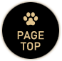 pagetop