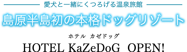 愛犬と一緒にくつろげる温泉旅館「島原半島初の本格ドッグリゾート」ホテルカゼドッグオープン！