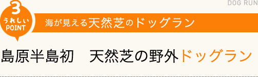 「うれしいPOINT3」海が見える天然芝のドッグラン/島原半島初　天然芝の野外ドッグラン